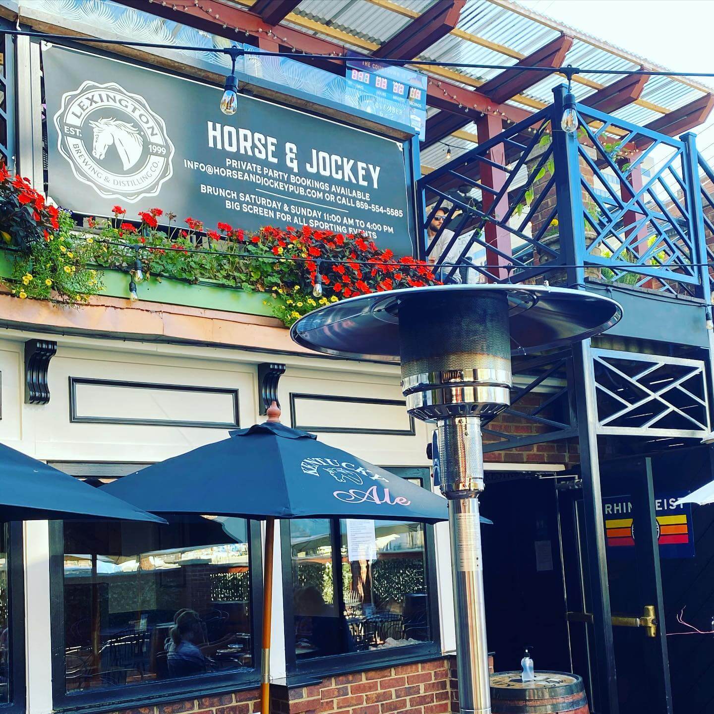 Caturdays in Downtown Lexington Downtown Lexington Partnership